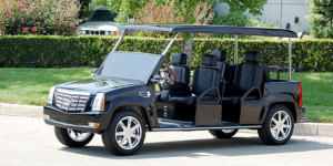 affordable golf cart rental, golf cart rent etown