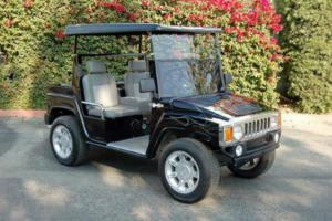 affordable golf cart rental, golf cart rent etown