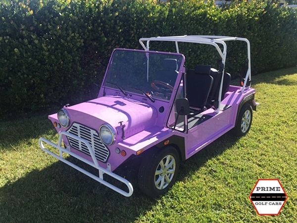 affordable golf cart rental, golf cart rent etown
